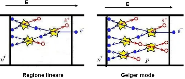 Figura 2.3: Rappresentazione di principio dell’andamento della ionizzazione da impatto nelle due regioni: lineare e Geiger.