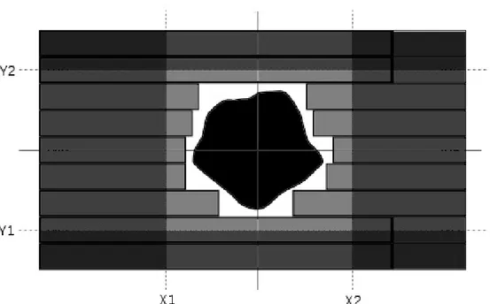 Figura  2.2:  schema  della  disposizione  di  un  MLC  osservato  in  Beam  Eye  View