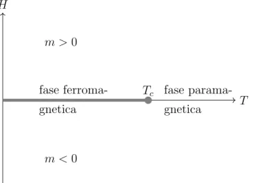Figura 2.1: Diagramma di fase (H,T) per sistemi magnetici. La fase ferromagnetica si ha per H = 0 e T &lt; T c ; quella paramagnetica H = 0 e T &gt; T c .