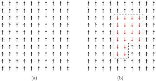 Figura 2.4: (a)Livello fondamentale e (b) muro di dominio in un reticolo quadrato bidimensionale.