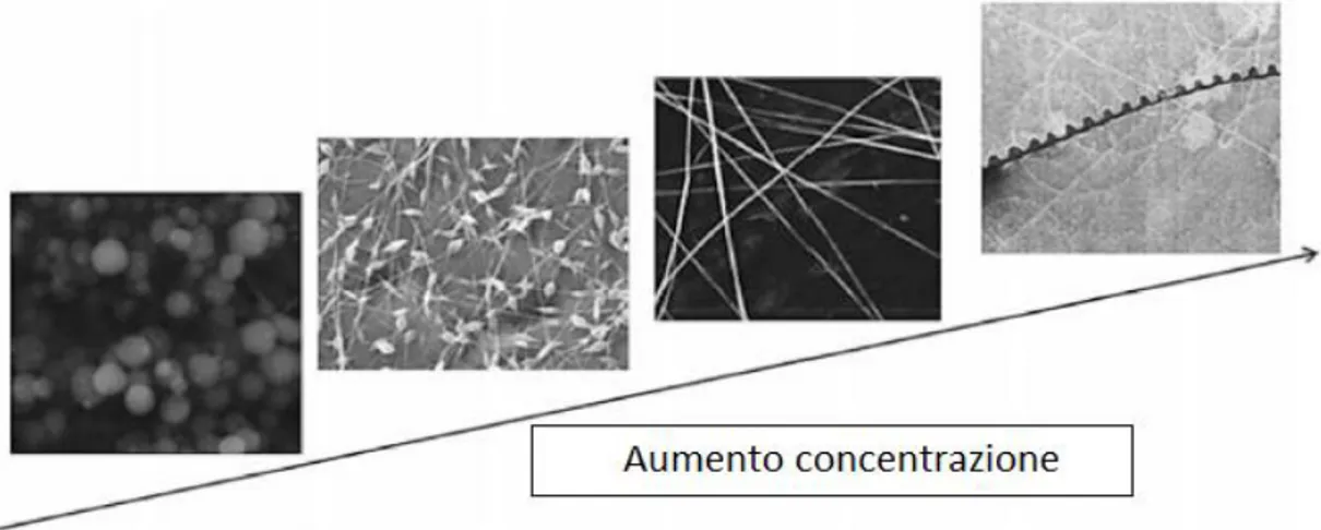 Fig. 1.6 – Micrografie del prodotto finito ottenuto con concentrazioni diverse [11,12]
