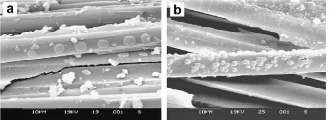 Fig. 1.13 – Immagini SEM della superficie di rottura: (a) PSF applicato sotto forma di  nanofibre, (b) PSF applicato sotto forma di film [31]
