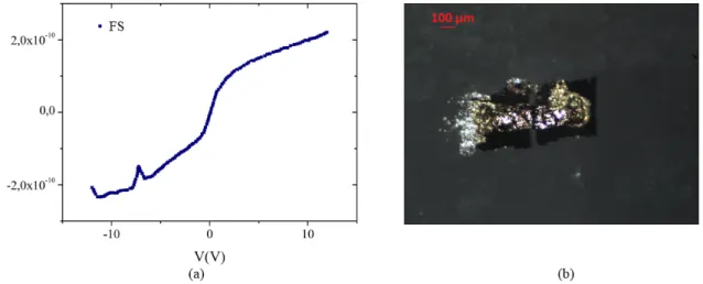 Figura 2.12: Cristallo singolo. a) Caratterstica I-V; b) Immagine del campione acquisita con microscopio ottico.