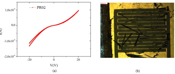 Figura 2.14: PR02. a) Caratterstica I–V; b) Immagine del campione acquisita con microscopio ottico.