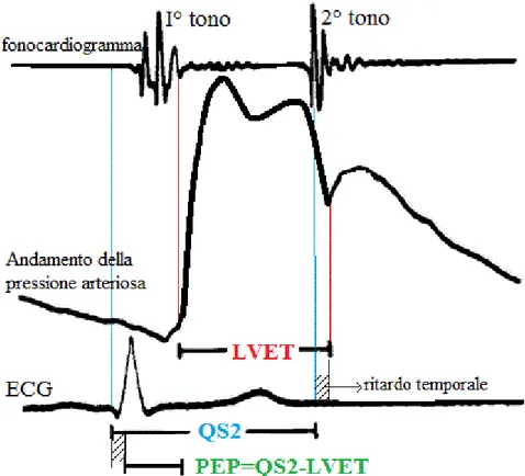 Figura 2.1: Registrazione simultanea dei segnali di fonocardiogramma, 