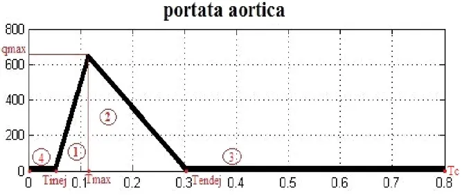 Figura 2.7: Segnale di portata aortica adottato nei calcoli (vedi gli allegati).