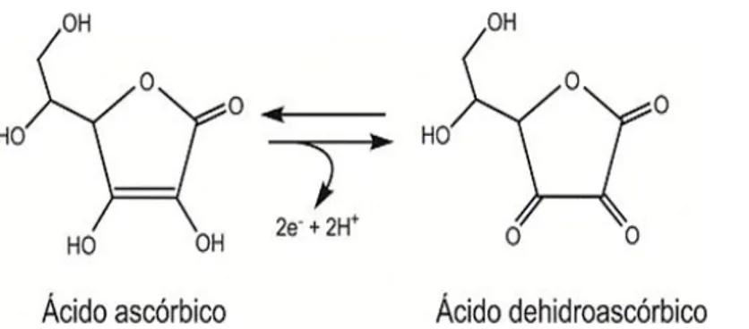 Figura 1.4 Reazione di ossidoriduzione dell'acido ascorbico/deidroascorbico 