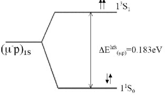 Figura 8 Differenza energetica tra lo stato 1S 0  ed 1S 1  data dallo splitting iperfino 
