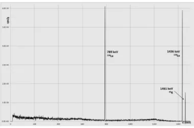 Figura 19 Spettro di emissione degli scintillatori ottenuto con HPGE detector grazie al contributo del servizio di  radioprotezione UNIBO 