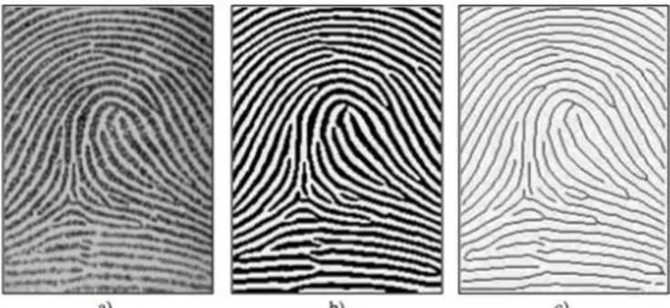 Figura  1.9  a)  Immagine  di  un  impronta  digitale  a  livelli  di  grigio.  b)  Immagine  ottenuta dalla binarizzazione
