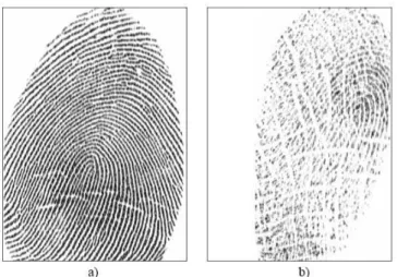 Figura 2.1 a) Esempio di impronta digitale del database classificata  come  NFIQ  1.  b)  Esempio  di  impronta  digitale  del  database  classificata come NFIQ 5.