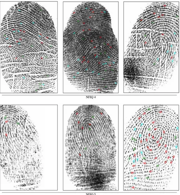 Figura 2.6 Alcune immagini di impronte digitali del database realizzato suddivise per  classe NFIQ: in alto tre impronte NFIQ 4 e in basso tre impronte NFIQ 5.