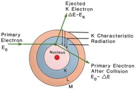 Figura 1.2: L’effetto fotoelettrico 