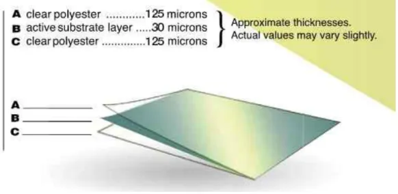 Figura 4.1: Rappresentazione della composizione del film gafchromic EBT3  La  lastra  si  presenta  trasparente  e  gialla  chiara  prima  dell'irraggiamento,  mentre  dopo  l'esposizione  a  radiazioni  X  assume  una  colorazione  verde  di 