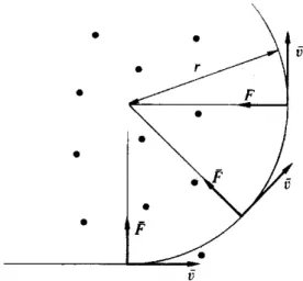 Figura 2.1: Forza di Lorentz