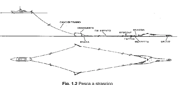Fig. 1.2 Pesca a strascico 