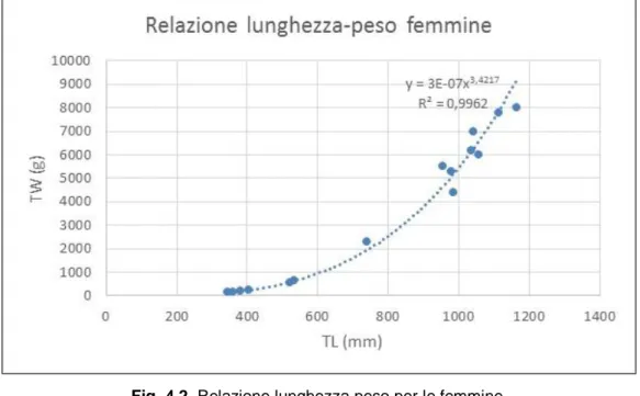 Fig. 4.2  Relazione lunghezza peso per le femmine. 
