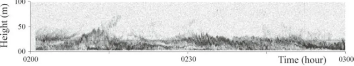 Figure 1.2: Sodar facsimile for a nocturnal stable boundary layer (from Argentini et al., 2012)