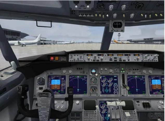 Figura 1.3 - Schermata di Flight Simulator X – Cabina di pilotaggio Boeing 737-800 