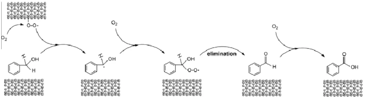 Figura 2-6: Meccanismo di reazione della ossidazione dell'alcol benzilico a benzaldeide su  nanotubi di carbonio drogati con azoto 17 