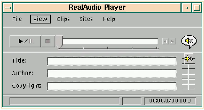 Figura 1 - Interfaccia di RealAudio Player 