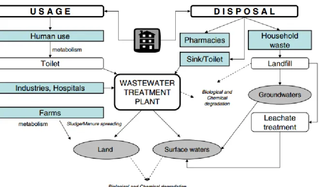 Figura 1.2. Fonti e destino dei farmaci in ambiente (Nikolaou et al., 2007) 