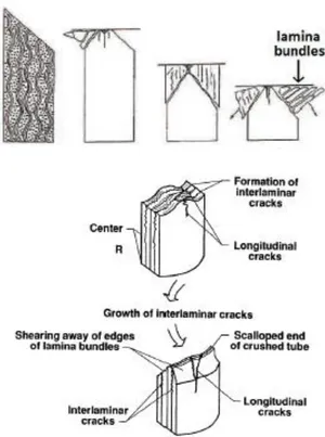 Fig 2.5 Cedimento a Transverse Shearing[7] 