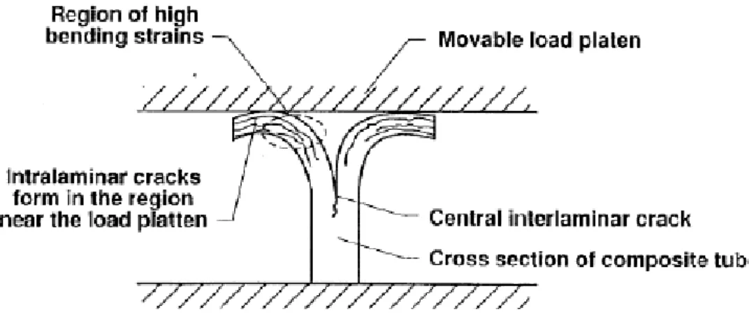 Fig 2.7 Lamina Bending- formazione di cricche intralaminari[8] 