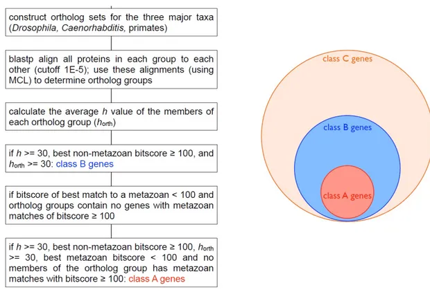 Figure 2.8: Steps followed for labeling genes. The image is taken from the supplementary material of [13].