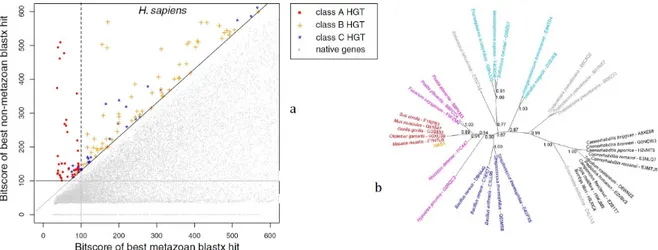 Figure 2.9: a) The panel shows the scores for all genes in H. sapiens, colour-coded according to their classification (class A: red, class B: orange, class C: blue, native genes: grey)