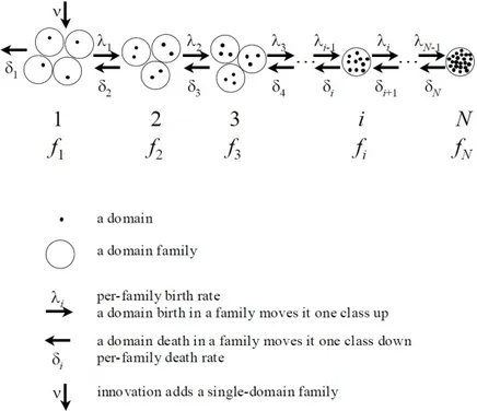 Figure 2.10: Domain dynamics and elementary evolutionary events under BDIM. [30]