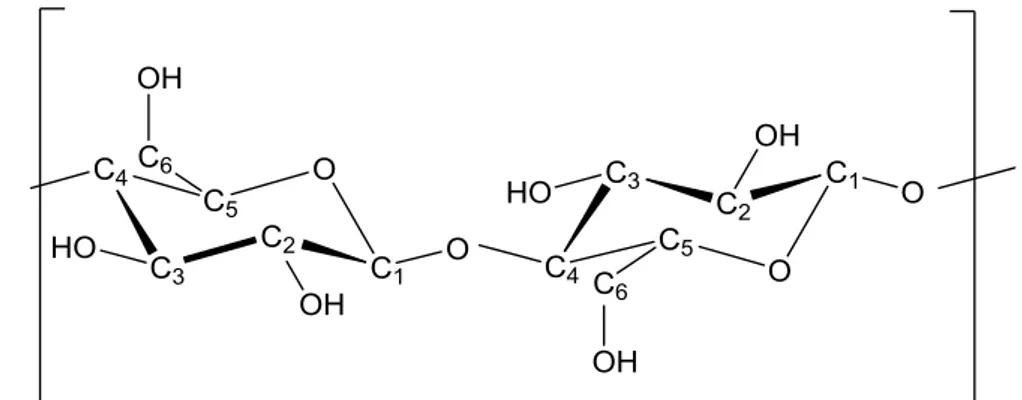 Figure 1.4 Molecular structure of a cellulose unit, showing the β 1-4 glucosidic bond and the intrachain  hydrogen bonding