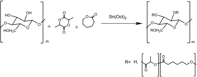 Figure 3.1 Structure of random co-polymer lactide and ɛ-caprolactone (P(LLA-co-CL).
