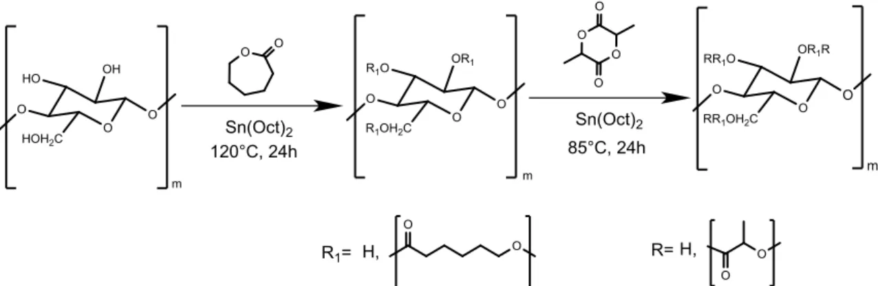 Figure 3.2 Synthesis of block co-polymer lactide and ɛ-caprolactone grafted on cellulose   (CNW-g-P(LLA-b-CL)
