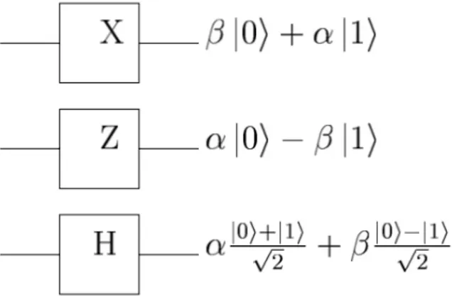 Figura 2.4: Le porte X, Z e H
