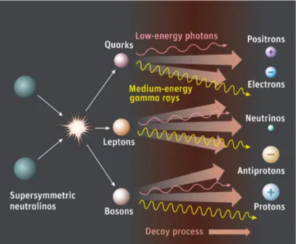 Figura 1.8: Possibili processi di annichilazione di WIMP con produzione di particelle pesanti che decadono velocemente in raggi γ e coppie e − e + , p¯ p e ν ¯ ν.