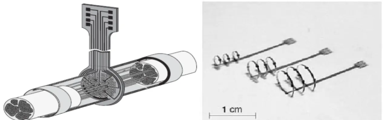 Figura 3D: elettrodo a rigenerazione (sinistra), elettrodo cuff (destra).[38]