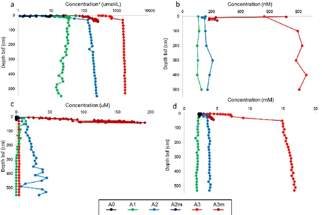 Figure  3.2.  Geochemical  sedimentary  profiles  for  MUC  and  gravity  core  samples:  a)  Ammonium;  b)  Methane; c) Sulphide; d) DIC