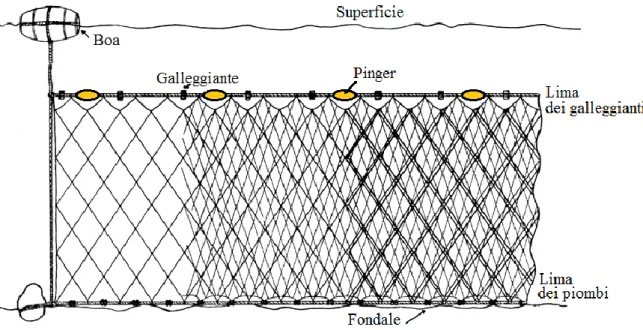 Figura 6: Schema di una rete da posta con pingers utilizzati come dissuasori acustici