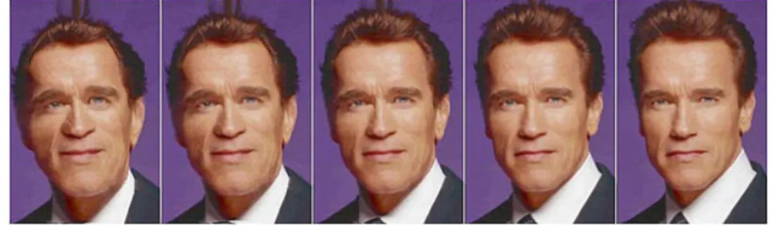Figura  2.18:  Warping  inverso  della  foto  di  Schwarzenegger  per  assomigliare  a  quella di Bush 