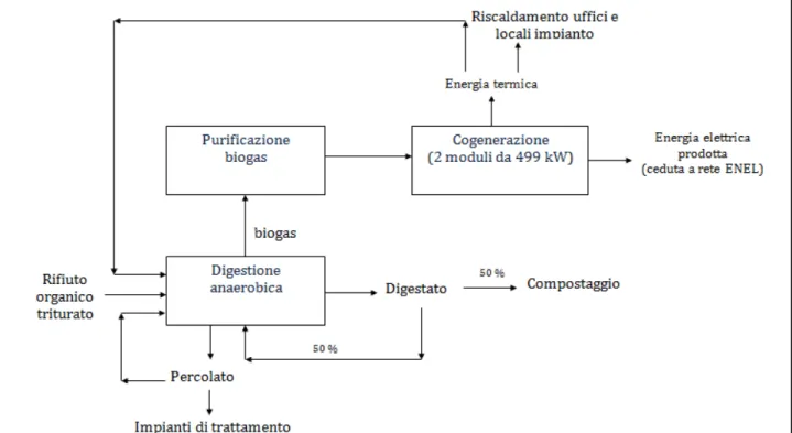 Figura 16 – Flussi di materia ed energia processo di fermentazione anaerobica 