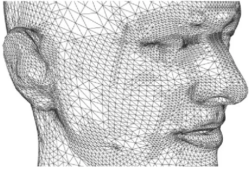 Figura 2.1: Faccia 3D ricostruita tramite mesh Una mesh pu` o essere definita: