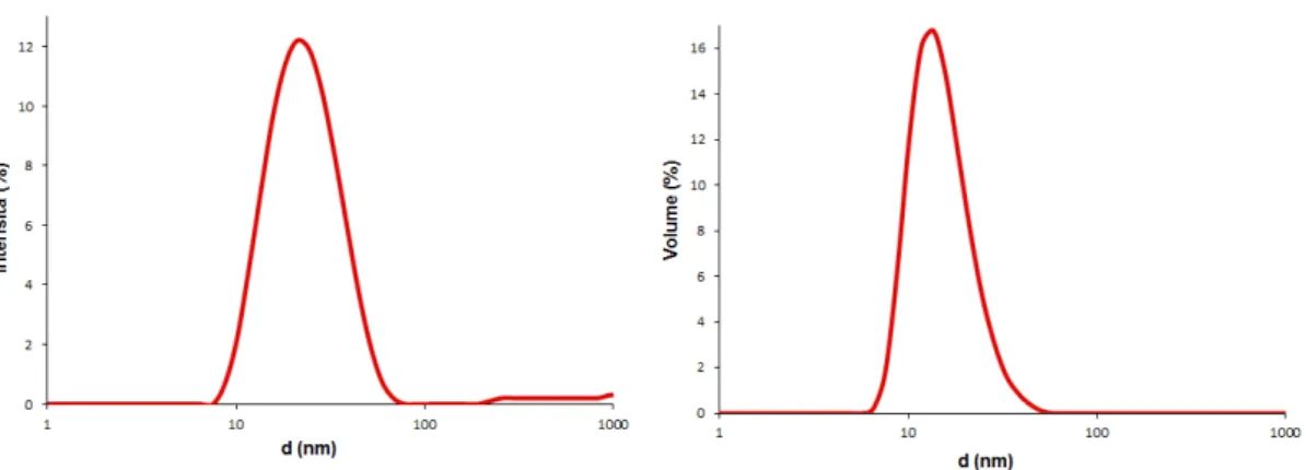 Figura 5-13 Diametro idrodinamico medio delle nanoparticelle di oro della sospensione  sintetizzata, valutato mediante analisi DLS
