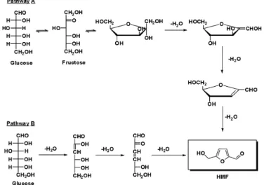 Figura 1-17 Due possibili vie di sintesi per ottenere HMF da glucosio 7 . 