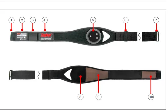 Figura 1.4: Cintura indossabile. 1. Manicotto di fissaggio principale;