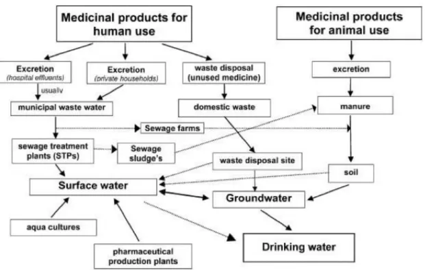 fig 1.3: schema riassuntivo sulle fonti di immissione di farmaci in ambiente.