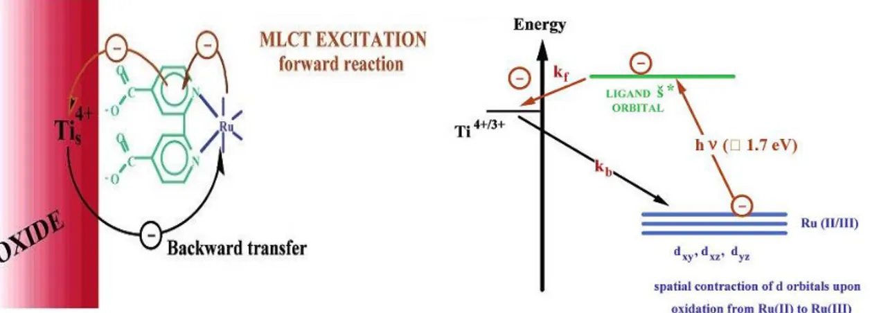 Figura 1.8: ricombinazioe eletronica tra la banda di conduzione del semiconduttore e lo stato fondamentale  del fotoassorbitore