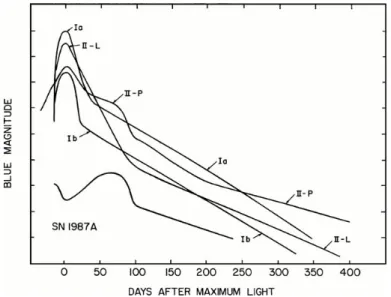 Figura 1.4: Esempi di curve di luce schematiche per SNe Ia, Ib, II-L, II-P e SN 1987A