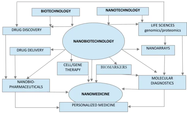 Figure 4. Relationship of Biotechnology and Nanotechnology to Nanomedicine and related technologies
