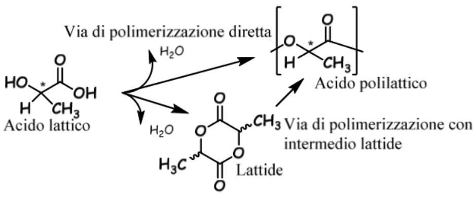 Figura 5: vie di polimerizzazione dell’acido polilattico. 